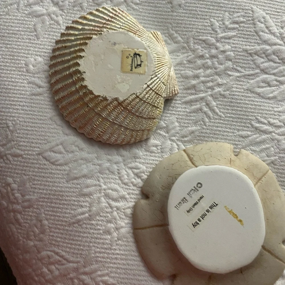 Sand Dollars and shell Decor Set - Picture 3 of 11